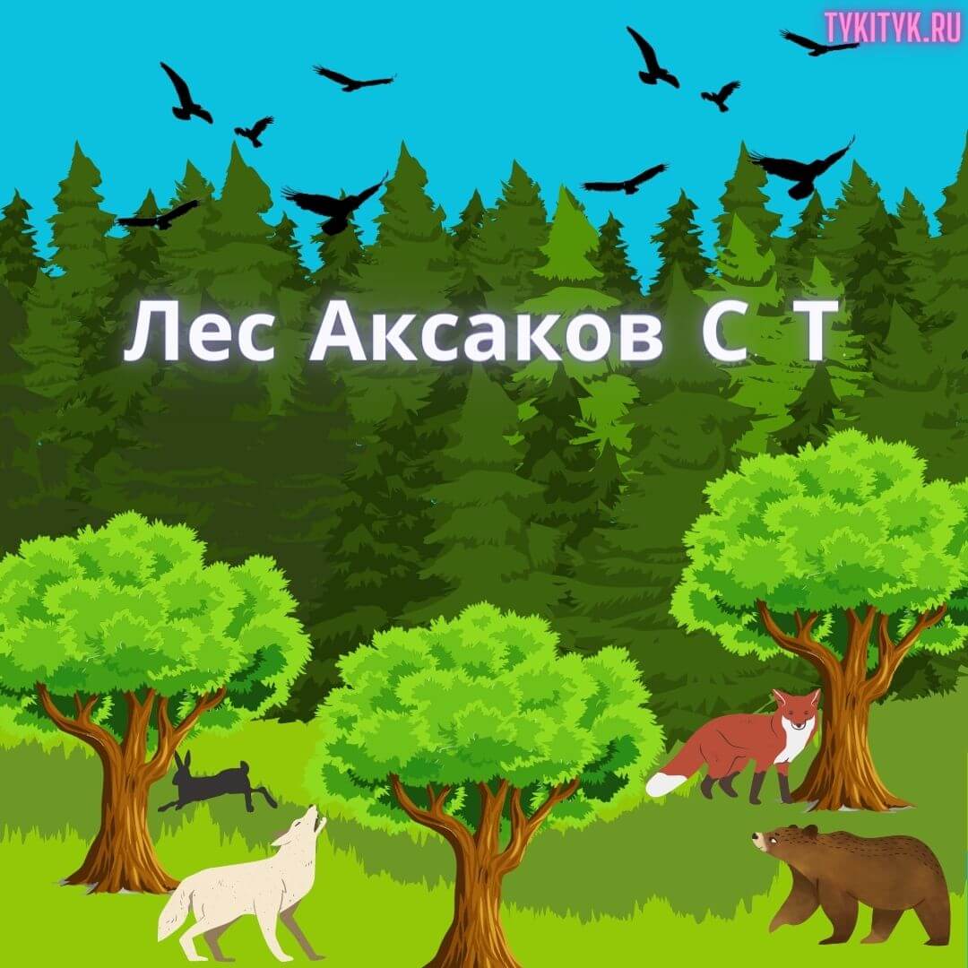 Картинка к сказке Лес Аксаков С. Т.