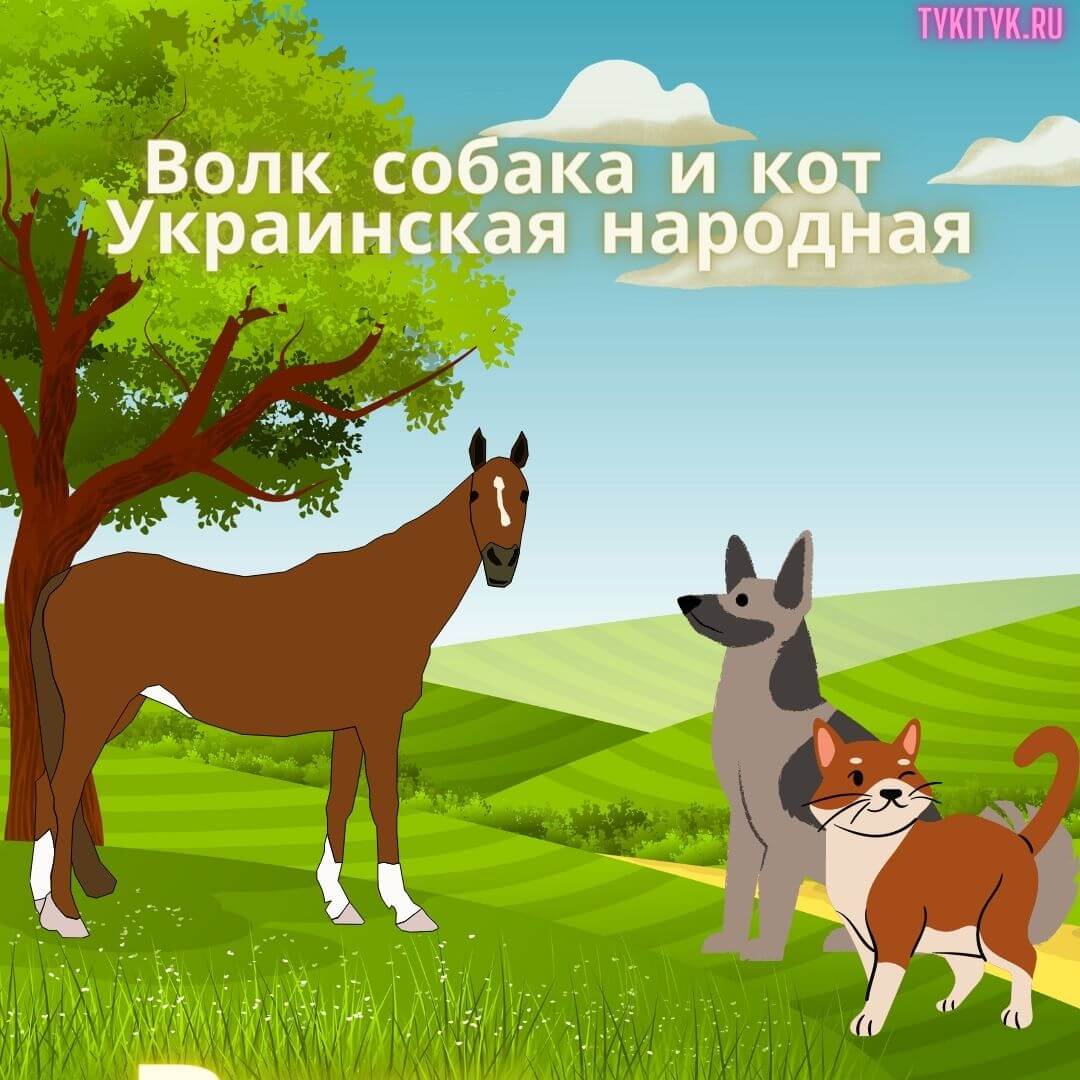 Сказка Волк, собака и кот 🐕 читаем детям