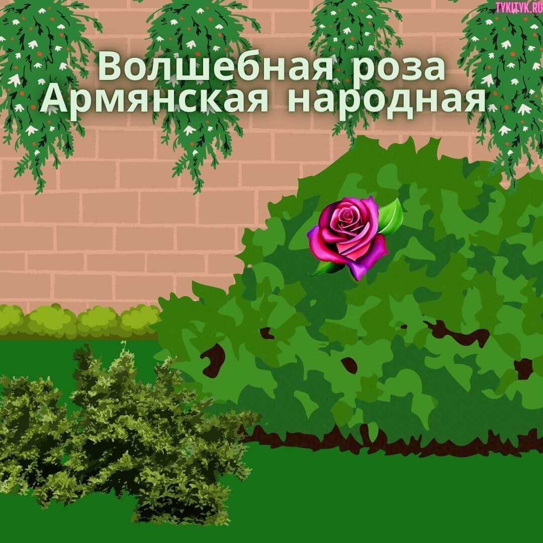 Сказка Волшебная роза 🌹 читаем детям