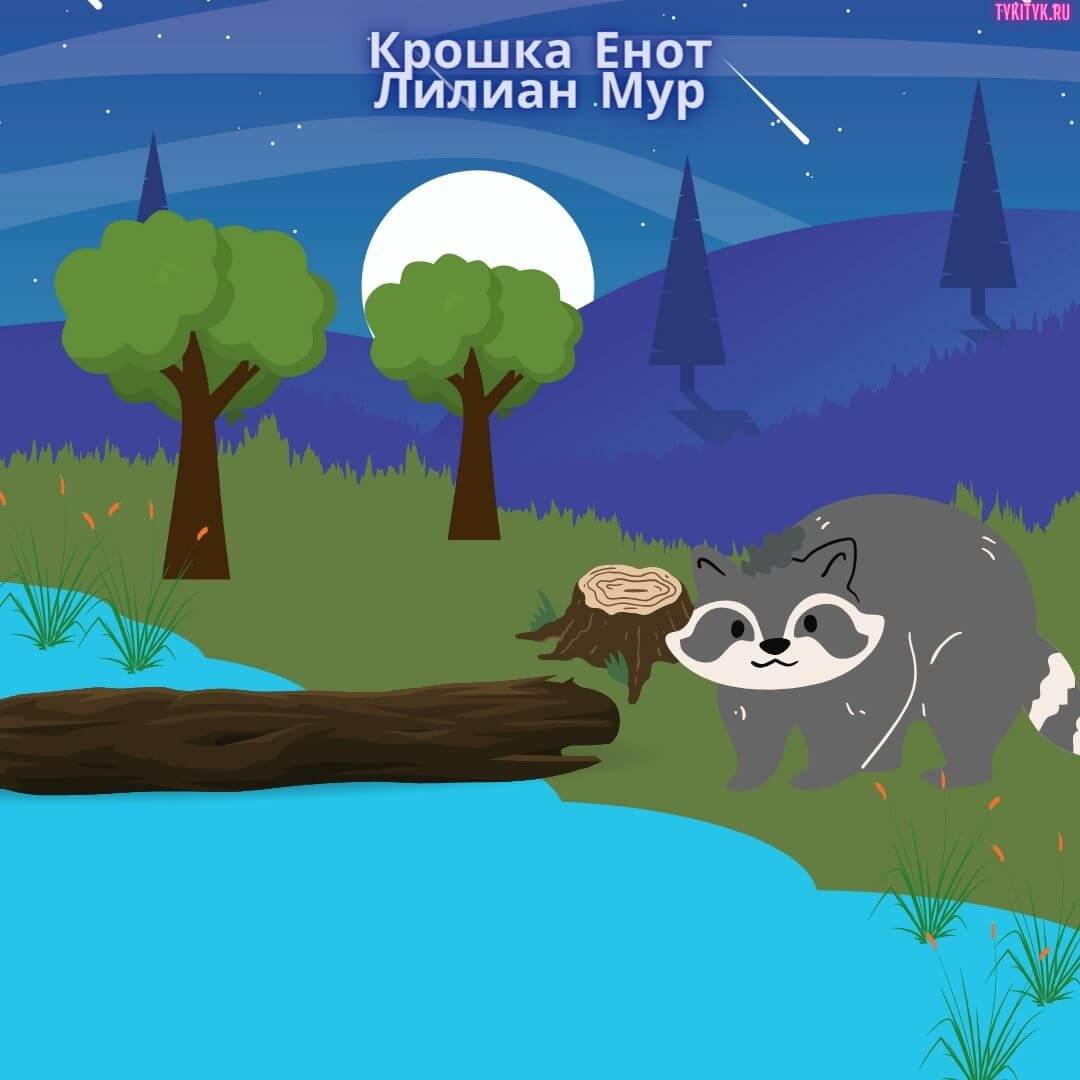 Сказка для детей Крошка Енот 🦝 Лилиан Мур