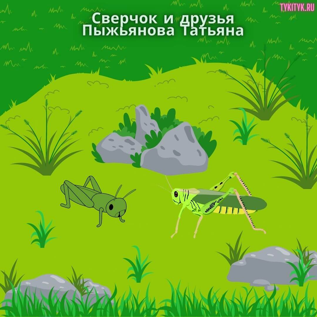 Сказка для детей Сверчок и друзья 🦗 Пыжьянова Татьяна