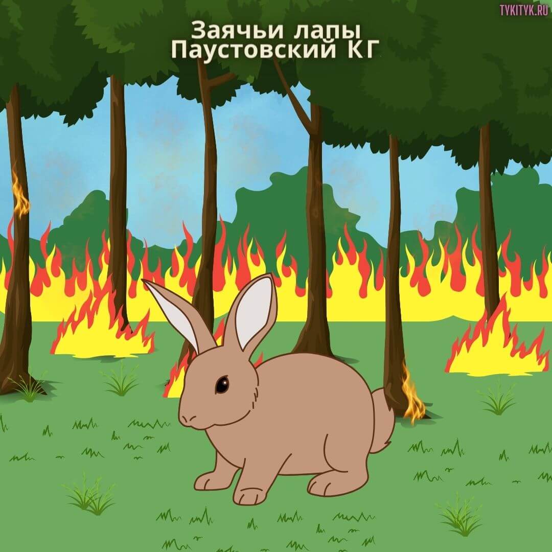 Сказка Заячьи лапы 🐰 Паустовский К.Г.