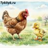 Картинка к рассказу «Чужое яичко». Автор — К. Д. Ушинский.