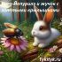 Добрые дела Феечки 🐇 Анна Деус