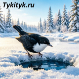 Сумасшедшая птица 🕊 Бианки В. В.