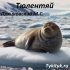 Феи Мерлиновой скалы 💫 английская народная